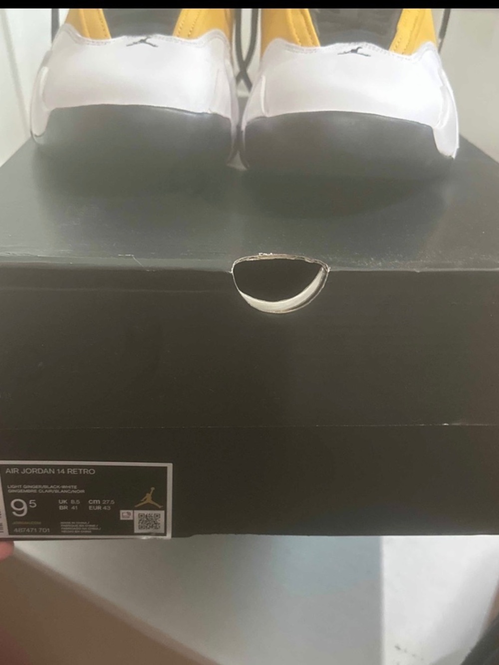 Jordan 14 Gingers